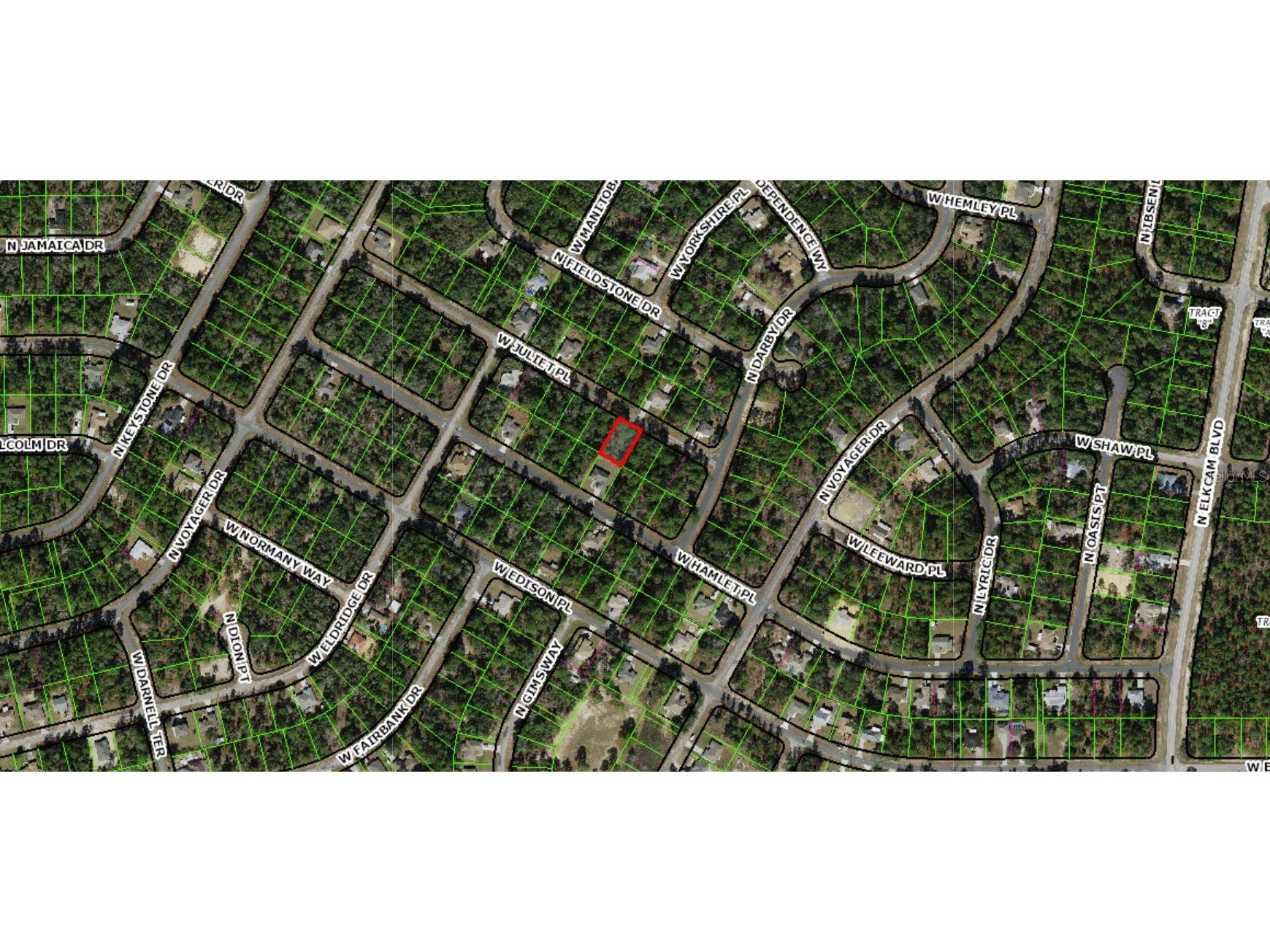 2990 W Juliet Place Citrus Springs FL 34433 D6146034 image1