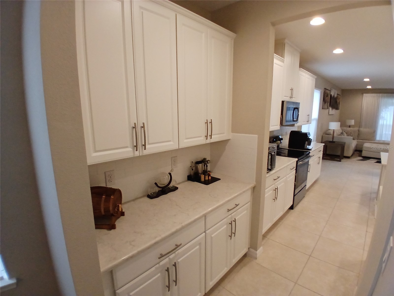 29900 Walsh Oak Drive Wesley Chapel FL 33545 TB8494008 image14