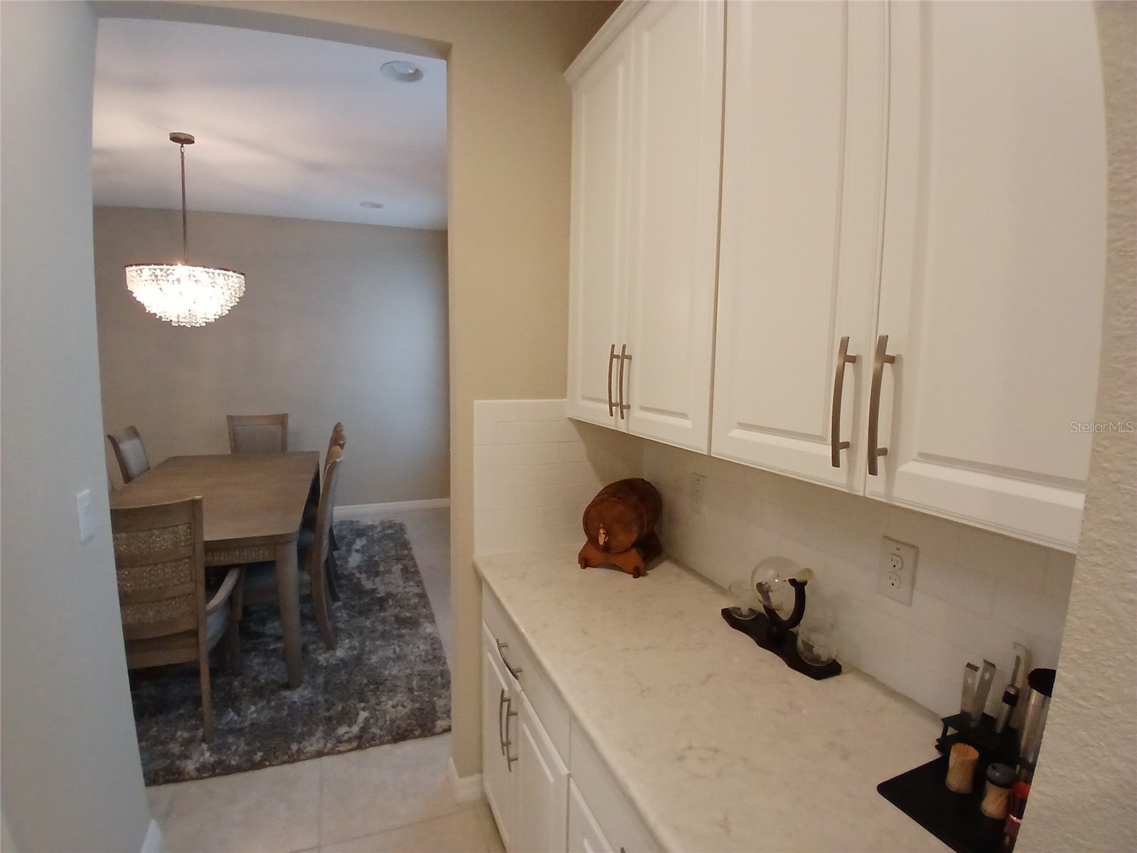 29900 Walsh Oak Drive Wesley Chapel FL 33545 TB8494008 image17