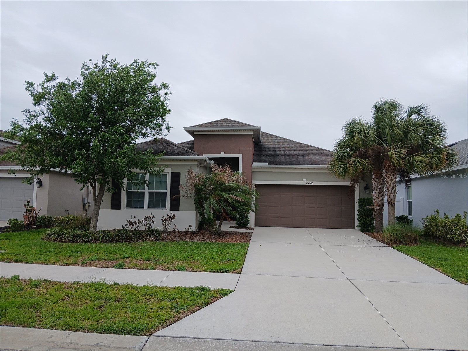 29900 Walsh Oak Drive Wesley Chapel FL 33545 TB8494008 image2