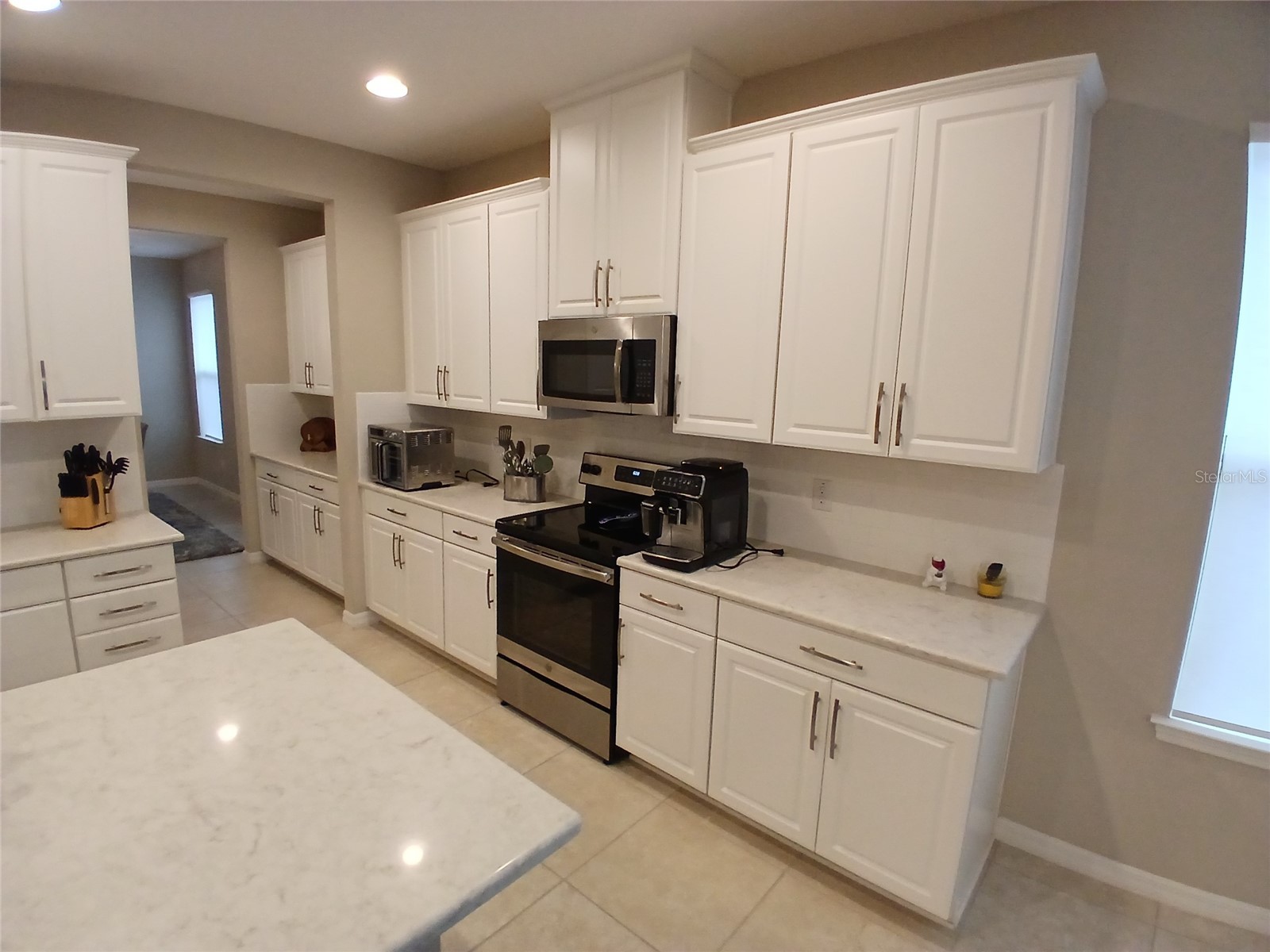 29900 Walsh Oak Drive Wesley Chapel FL 33545 TB8494008 image24