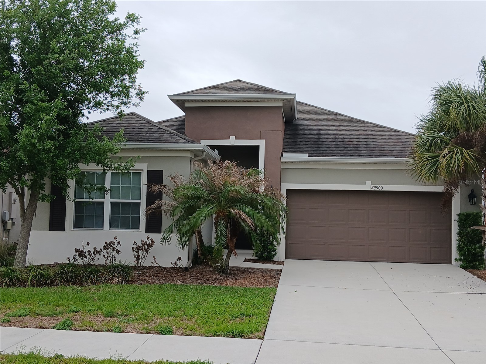 29900 Walsh Oak Drive Wesley Chapel FL 33545 TB8494008 image3