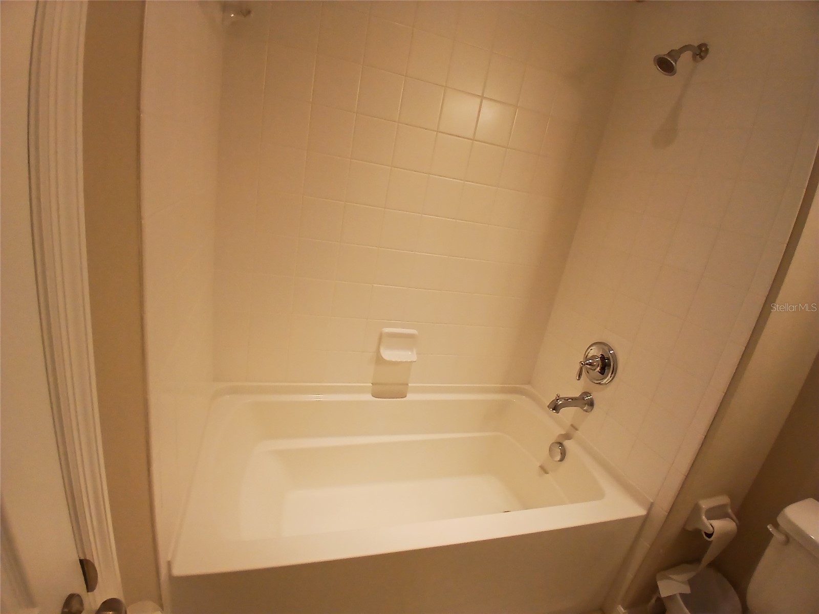 29900 Walsh Oak Drive Wesley Chapel FL 33545 TB8494008 image34