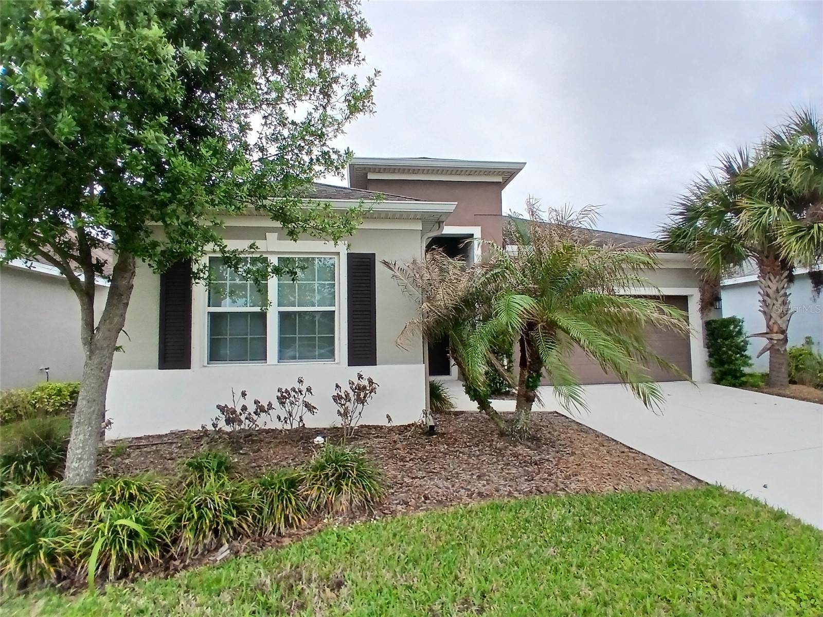 29900 Walsh Oak Drive Wesley Chapel FL 33545 TB8494008 image4