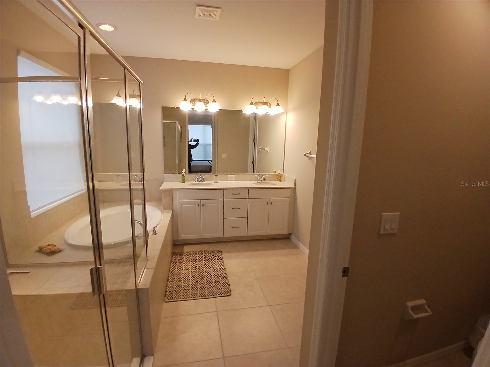 29900 Walsh Oak Drive Wesley Chapel FL 33545 TB8494008 image46