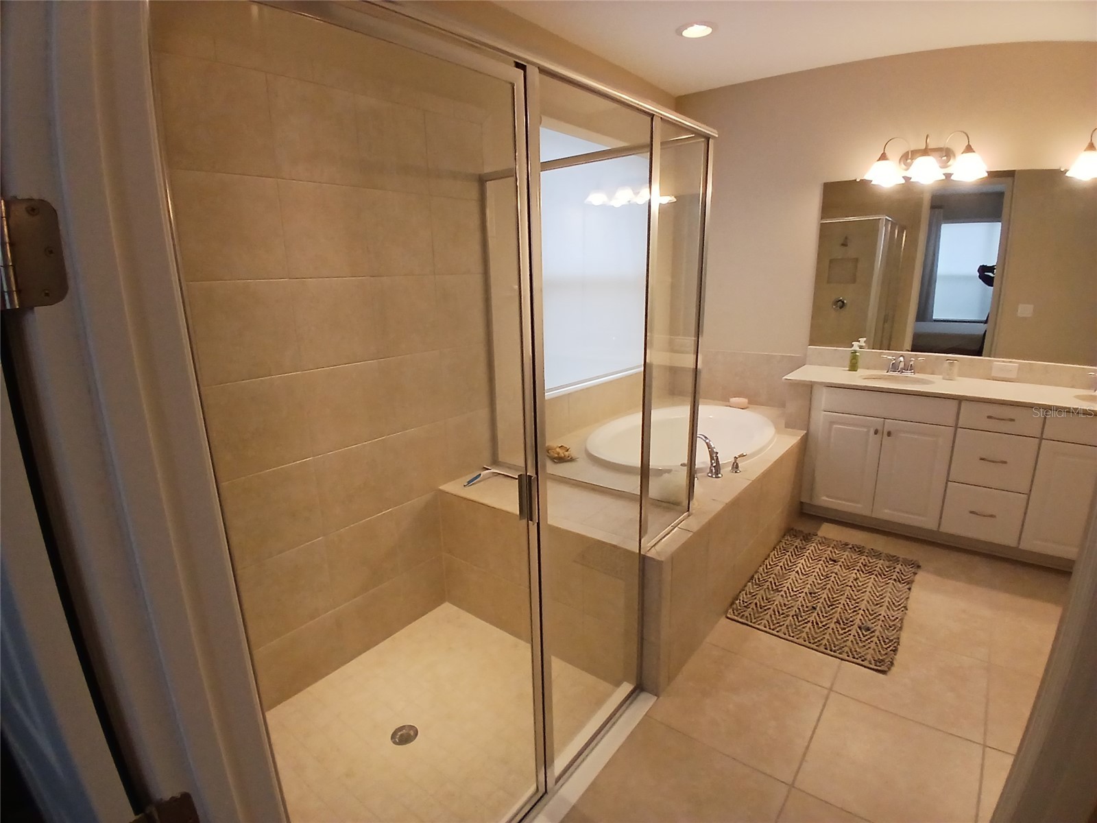 29900 Walsh Oak Drive Wesley Chapel FL 33545 TB8494008 image47
