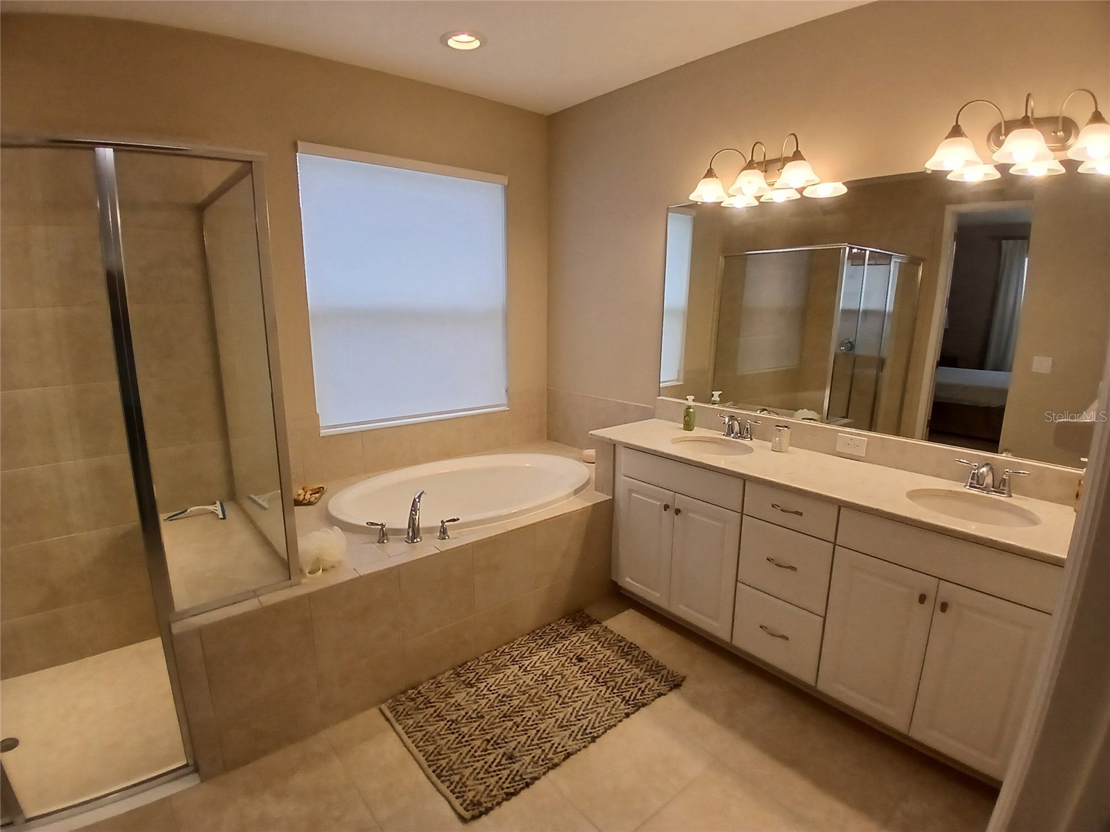 29900 Walsh Oak Drive Wesley Chapel FL 33545 TB8494008 image49