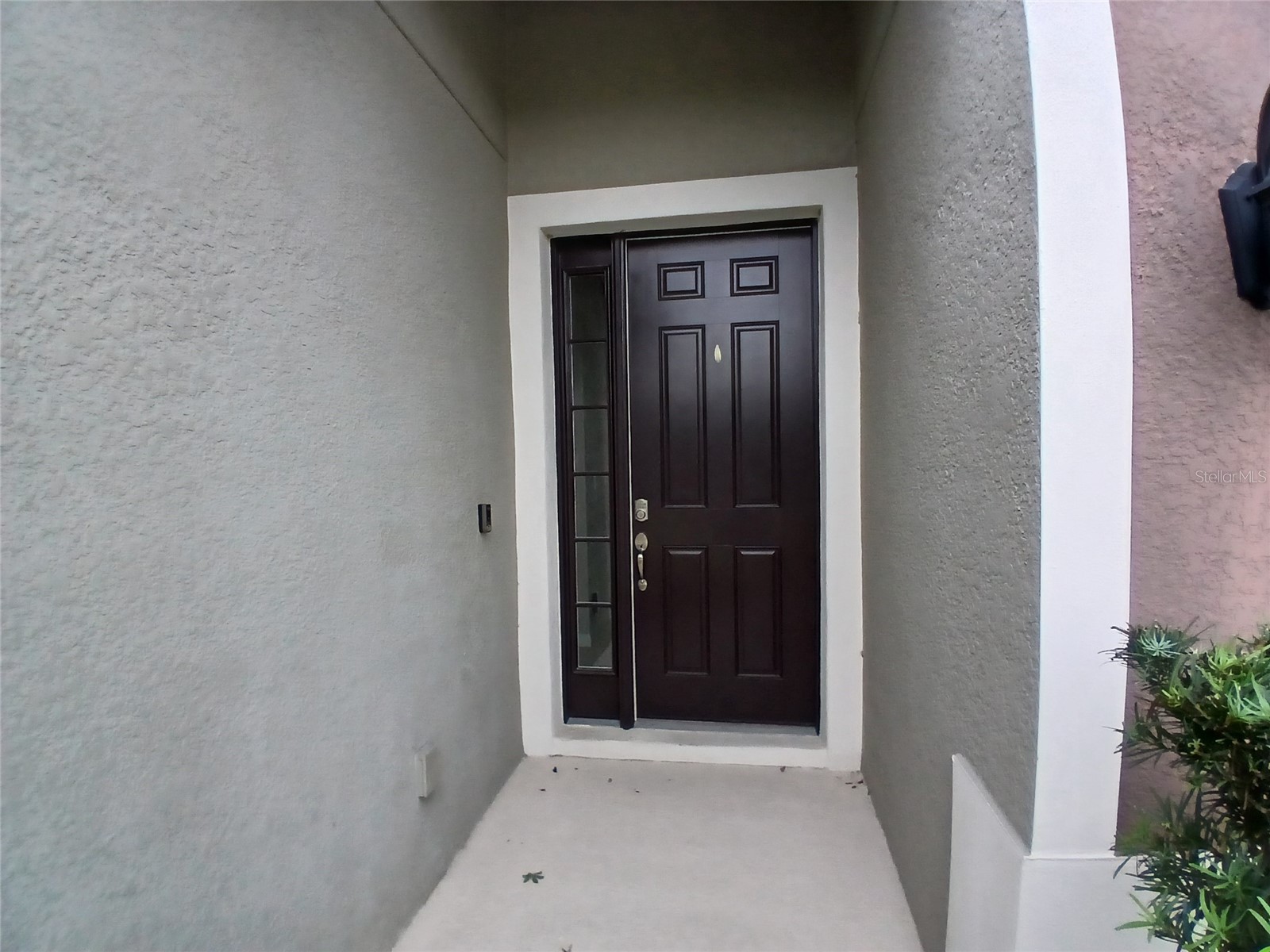 29900 Walsh Oak Drive Wesley Chapel FL 33545 TB8494008 image5