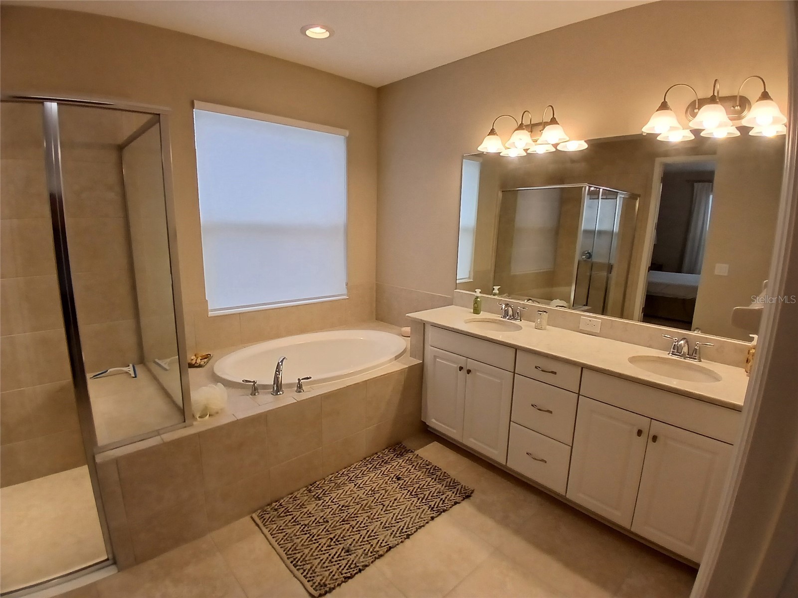 29900 Walsh Oak Drive Wesley Chapel FL 33545 TB8494008 image50