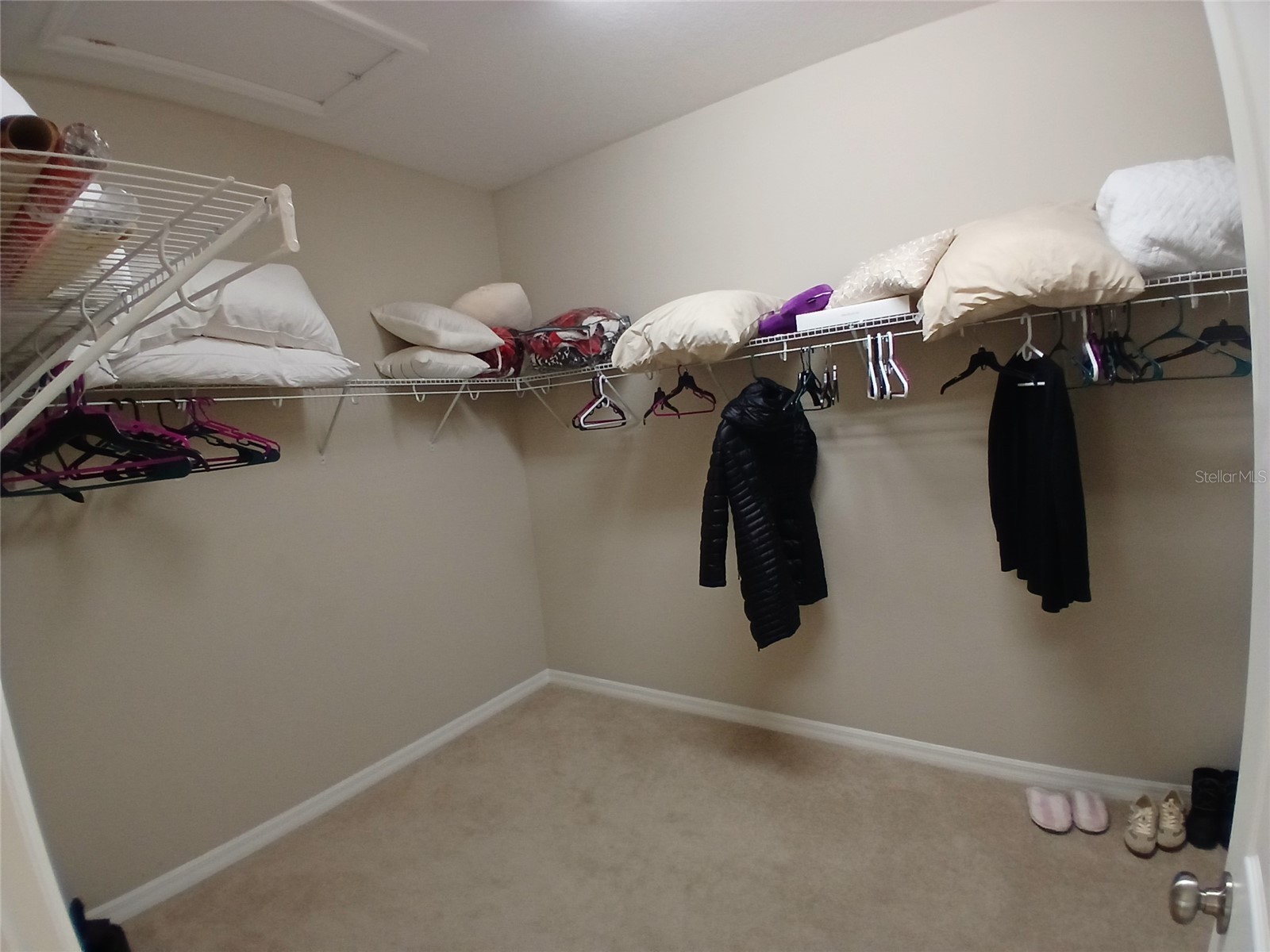 29900 Walsh Oak Drive Wesley Chapel FL 33545 TB8494008 image52