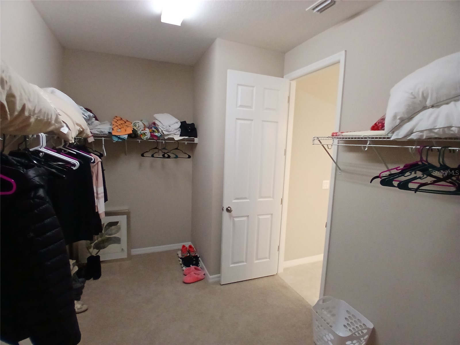 29900 Walsh Oak Drive Wesley Chapel FL 33545 TB8494008 image53