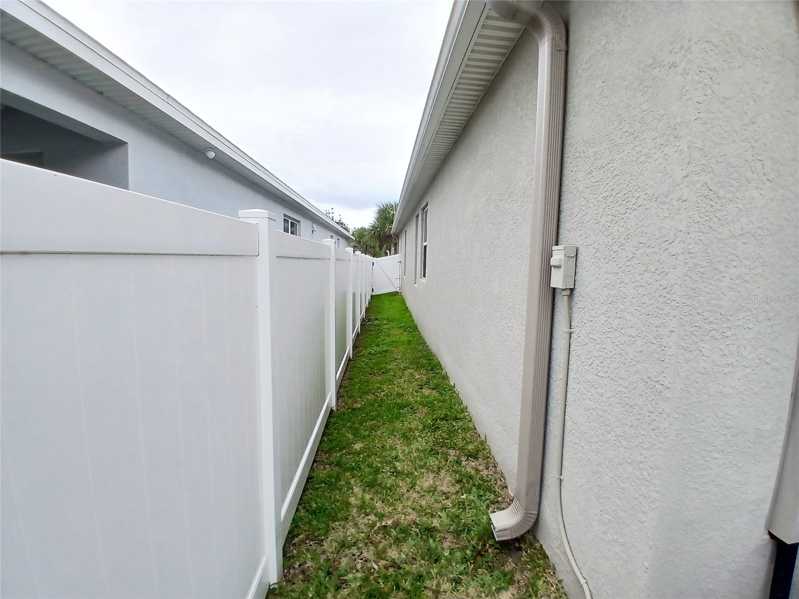 29900 Walsh Oak Drive Wesley Chapel FL 33545 TB8494008 image57