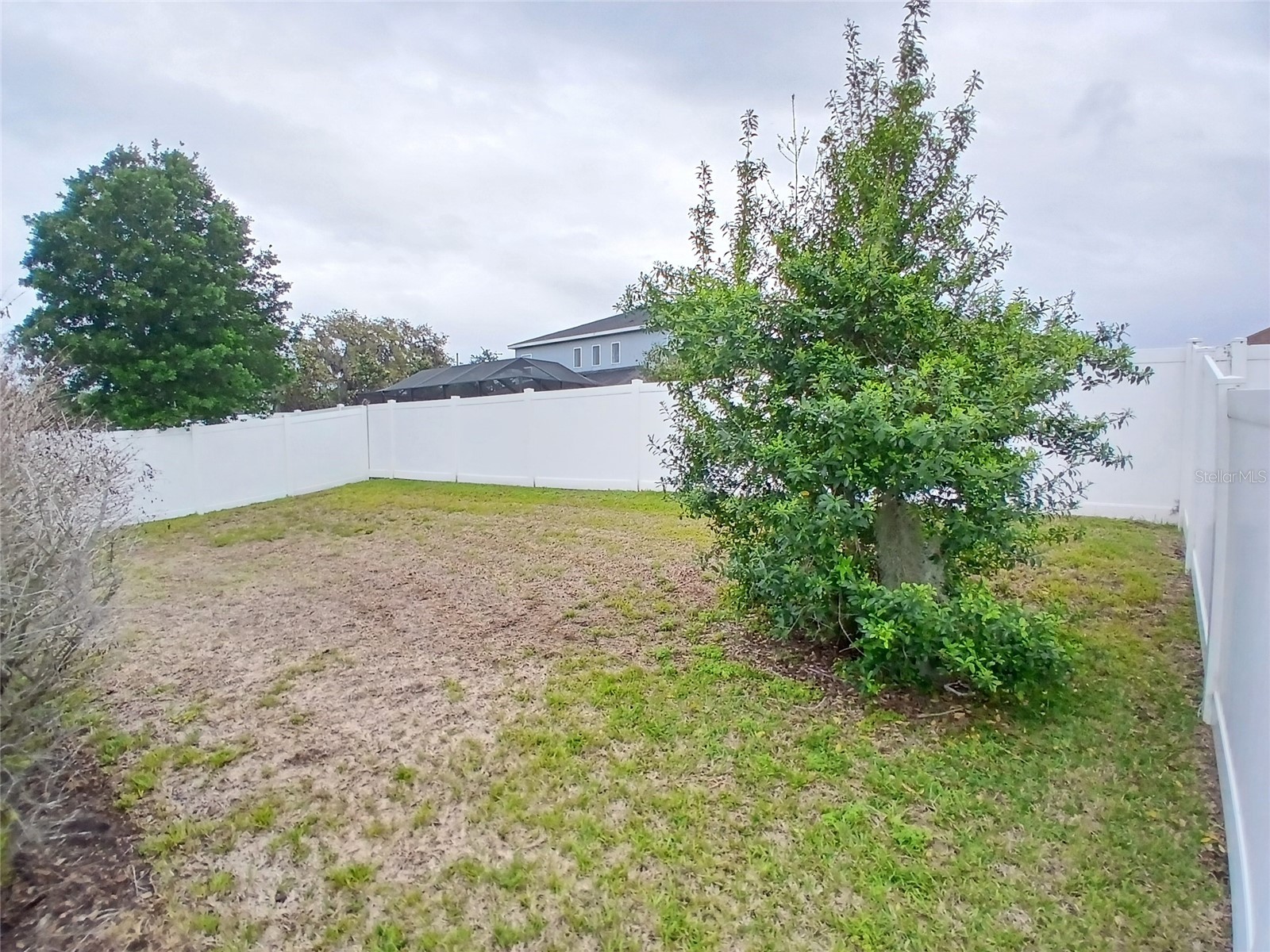29900 Walsh Oak Drive Wesley Chapel FL 33545 TB8494008 image59