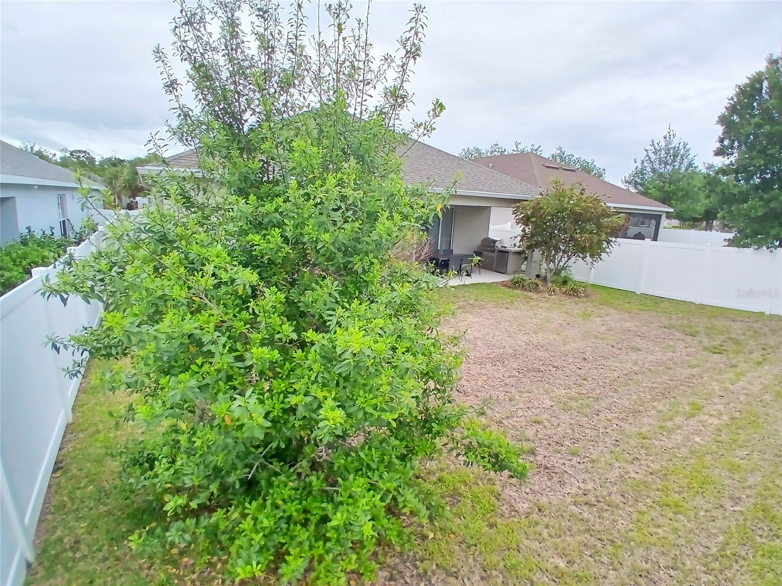 29900 Walsh Oak Drive Wesley Chapel FL 33545 TB8494008 image60