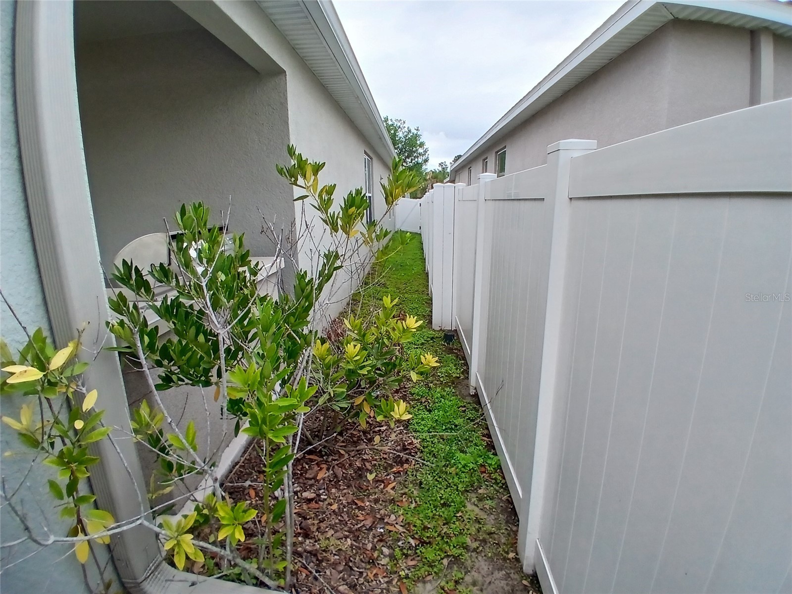 29900 Walsh Oak Drive Wesley Chapel FL 33545 TB8494008 image63