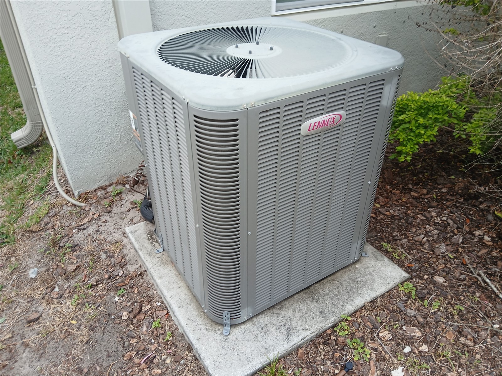 29900 Walsh Oak Drive Wesley Chapel FL 33545 TB8494008 image68