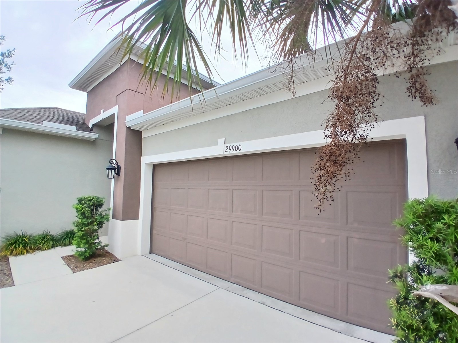 29900 Walsh Oak Drive Wesley Chapel FL 33545 TB8494008 image74