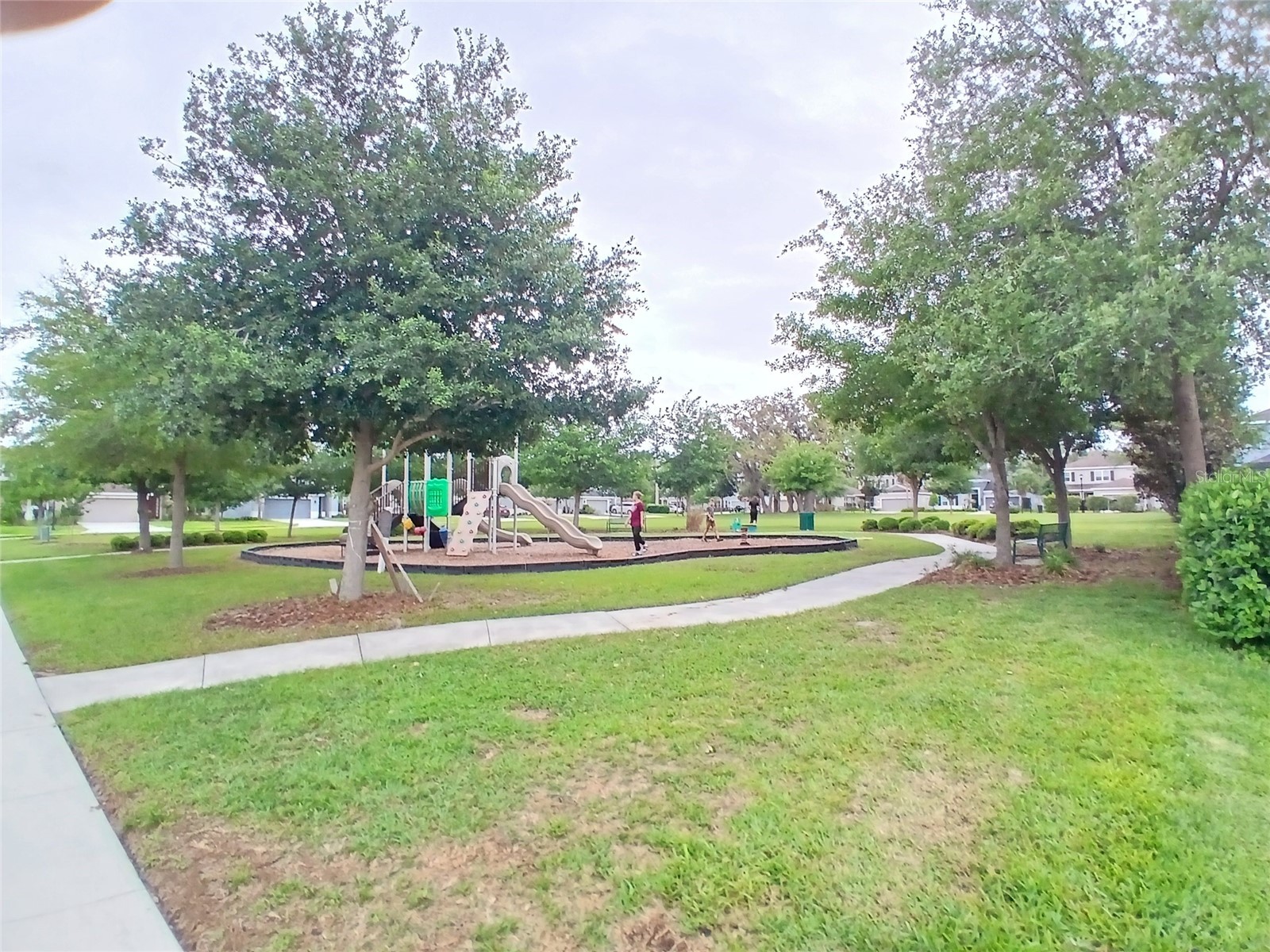 29900 Walsh Oak Drive Wesley Chapel FL 33545 TB8494008 image75