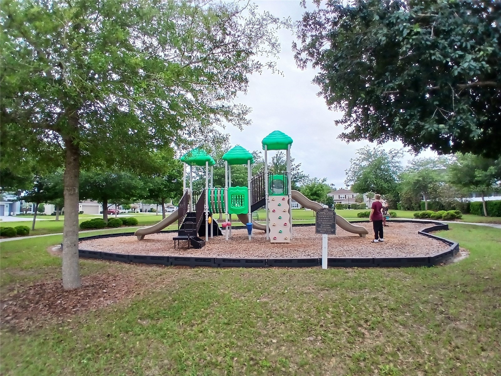29900 Walsh Oak Drive Wesley Chapel FL 33545 TB8494008 image76