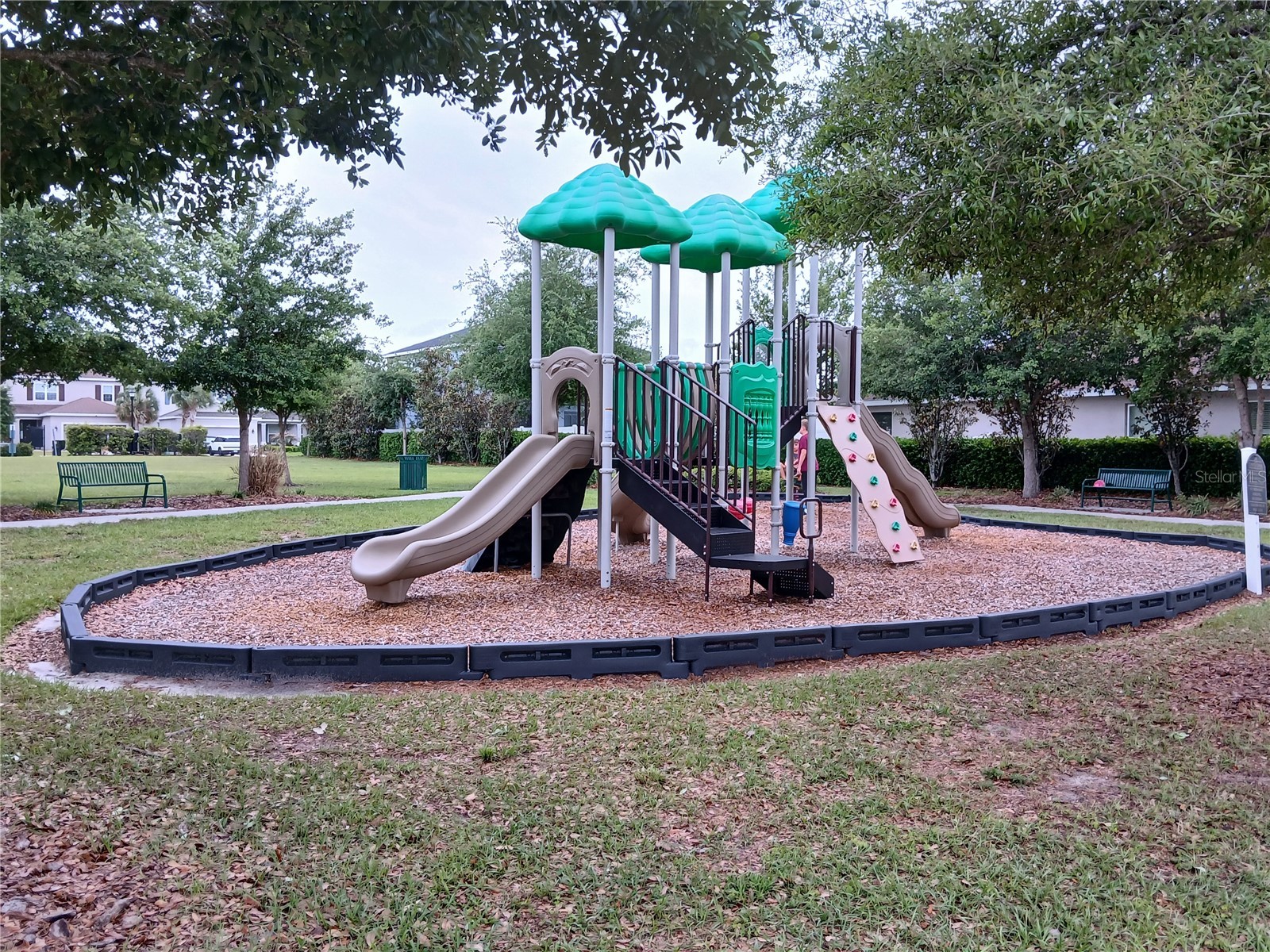 29900 Walsh Oak Drive Wesley Chapel FL 33545 TB8494008 image79