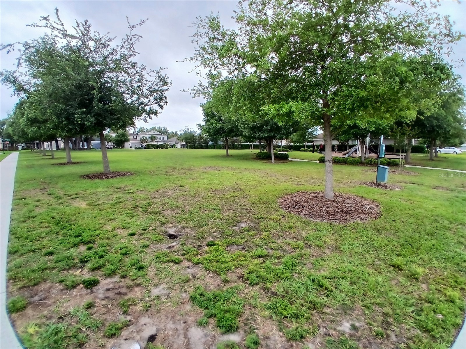 29900 Walsh Oak Drive Wesley Chapel FL 33545 TB8494008 image80