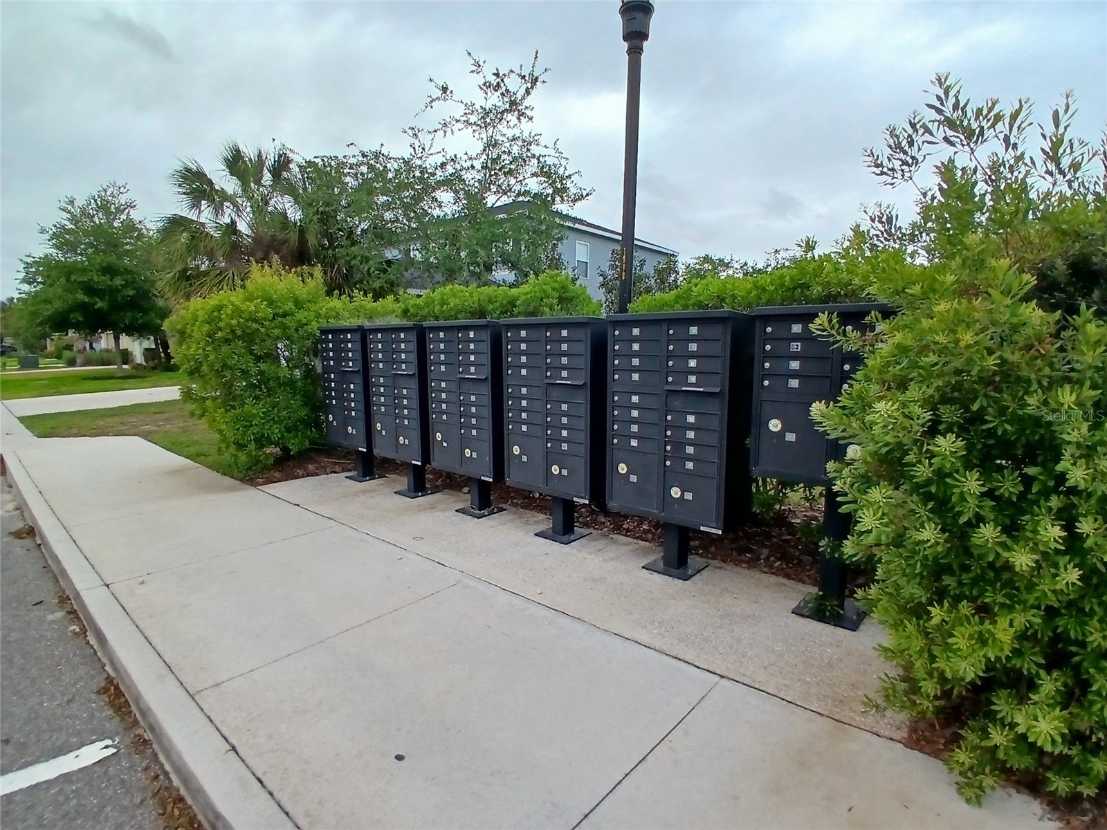 29900 Walsh Oak Drive Wesley Chapel FL 33545 TB8494008 image81