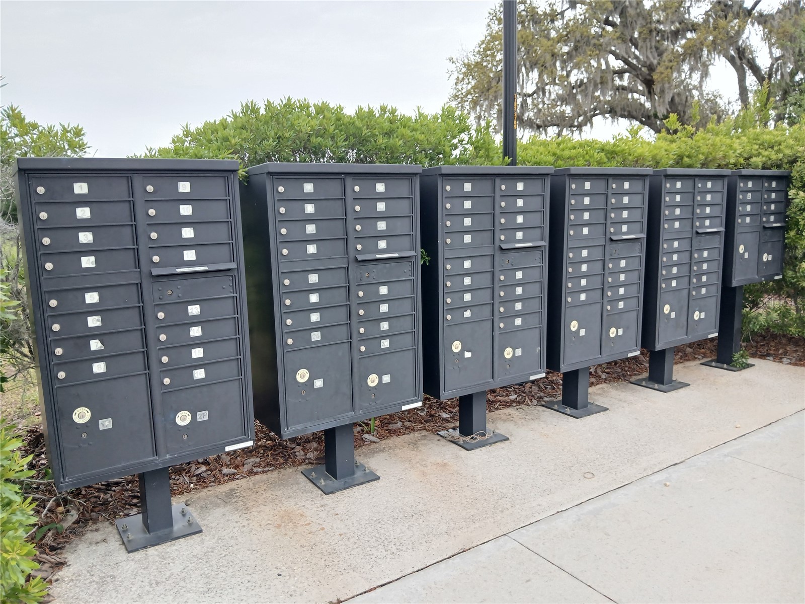 29900 Walsh Oak Drive Wesley Chapel FL 33545 TB8494008 image82