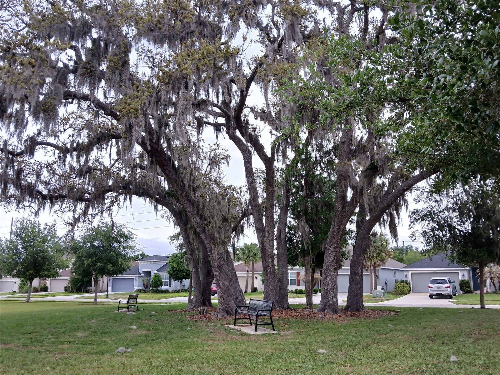 29900 Walsh Oak Drive Wesley Chapel FL 33545 TB8494008 image84