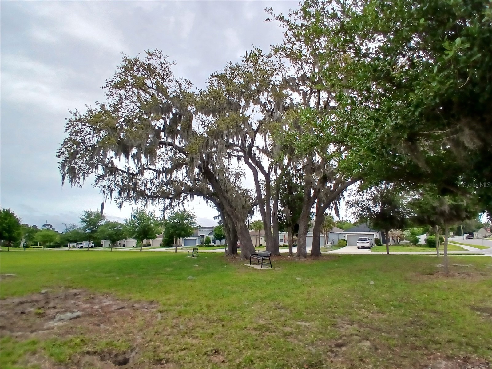 29900 Walsh Oak Drive Wesley Chapel FL 33545 TB8494008 image85