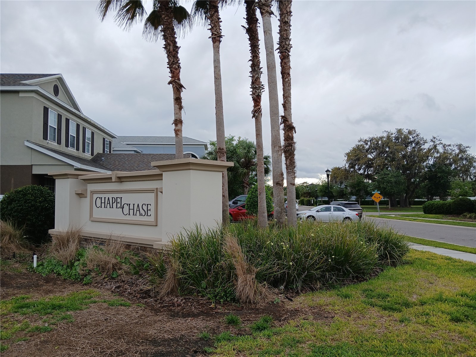 29900 Walsh Oak Drive Wesley Chapel FL 33545 TB8494008 image86