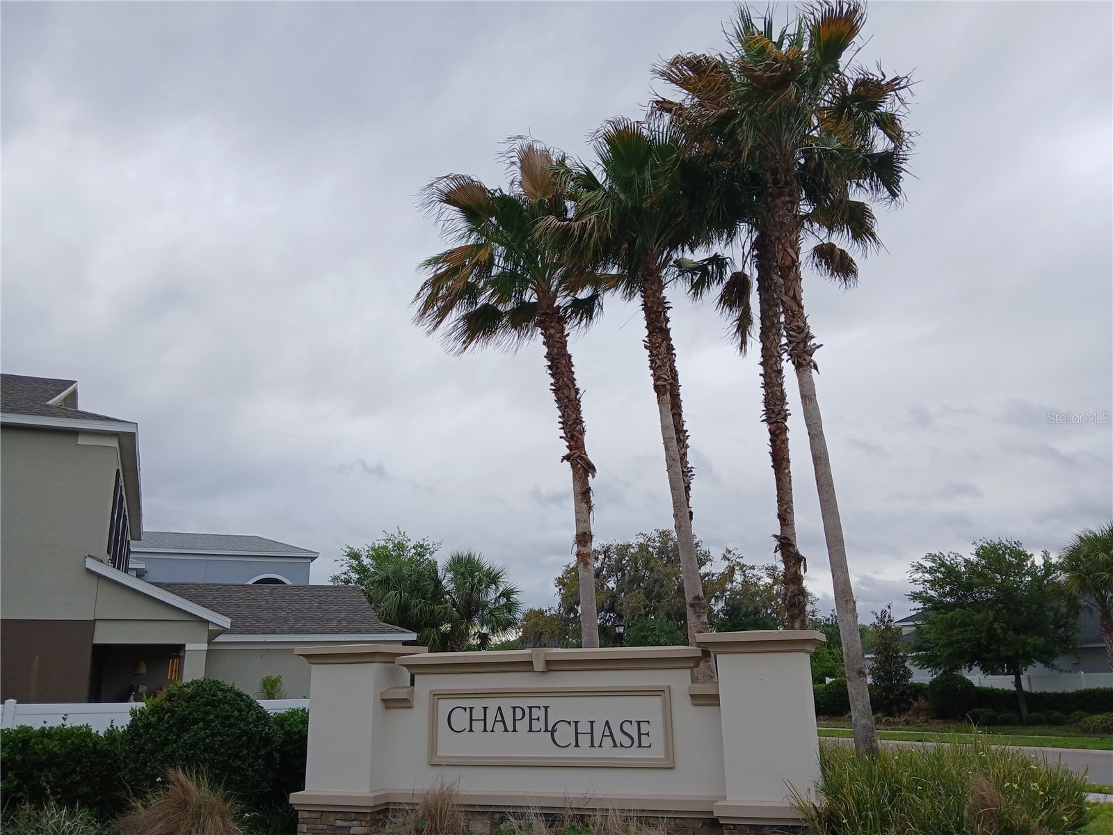 29900 Walsh Oak Drive Wesley Chapel FL 33545 TB8494008 image87