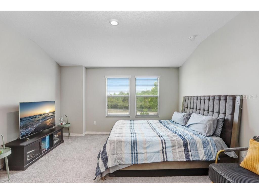 29901 Southwell Lane Wesley Chapel FL 33543 TB8384034 image4