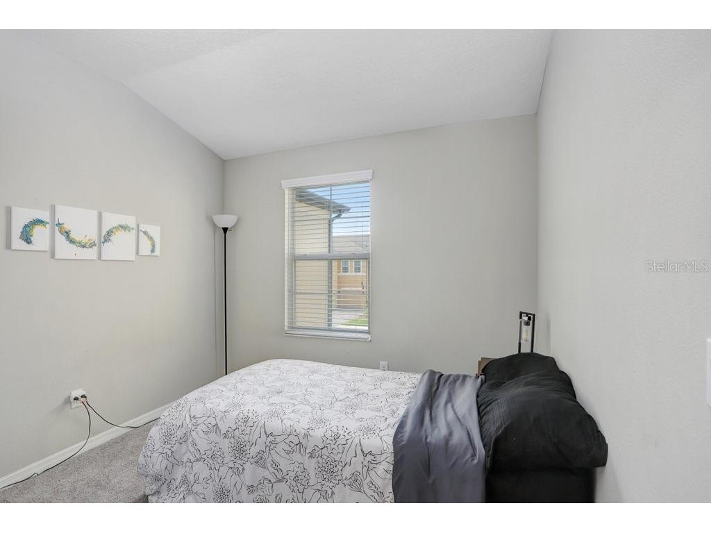 29901 Southwell Lane Wesley Chapel FL 33543 TB8384034 image8