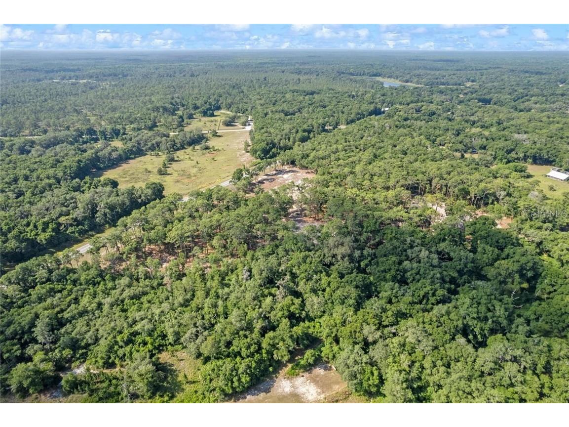 29901 State Road 44 Eustis FL 32736 O6296455 image12