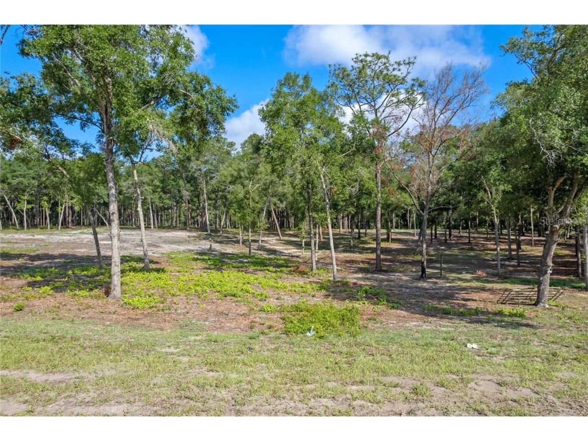 29901 State Road 44 Eustis FL 32736 O6296455 image15