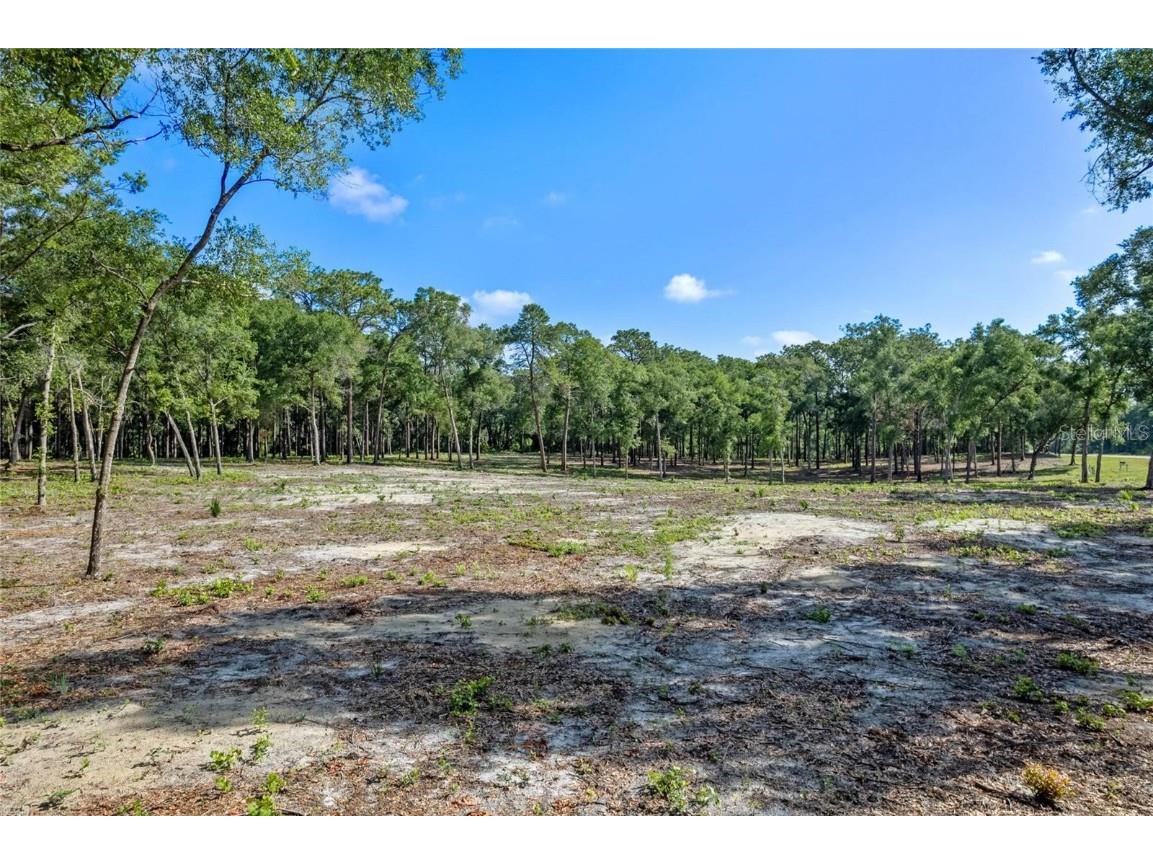 29901 State Road 44 Eustis FL 32736 O6296455 image17
