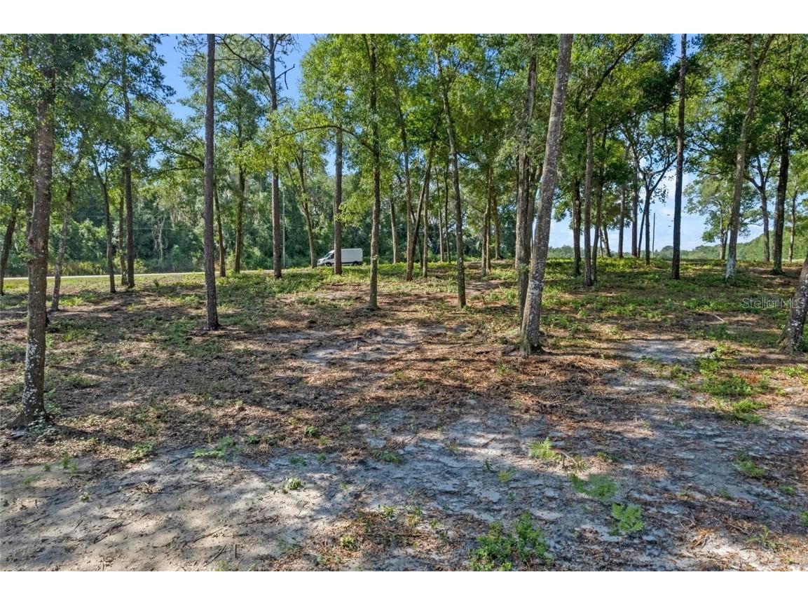 29901 State Road 44 Eustis FL 32736 O6296455 image18