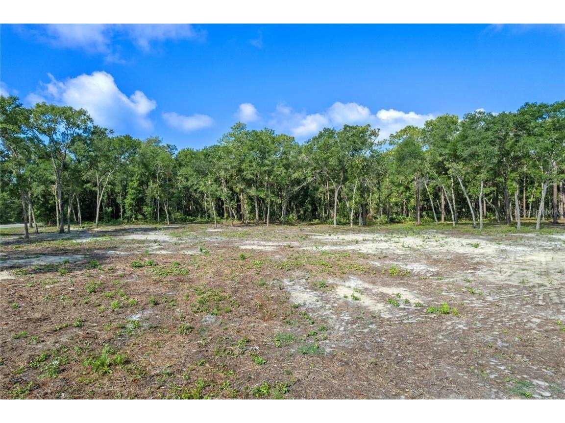 29901 State Road 44 Eustis FL 32736 O6296455 image2