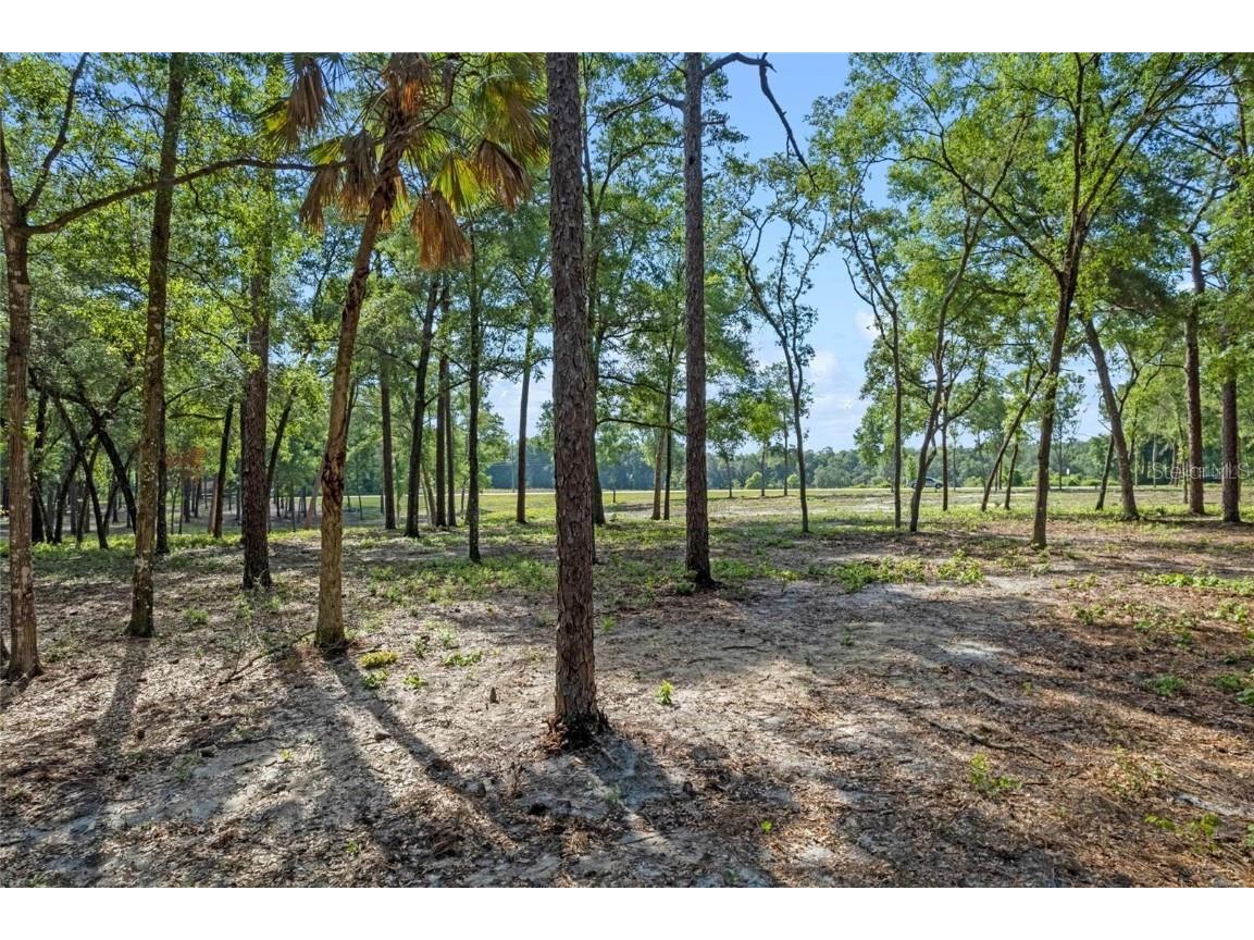 29901 State Road 44 Eustis FL 32736 O6296455 image3