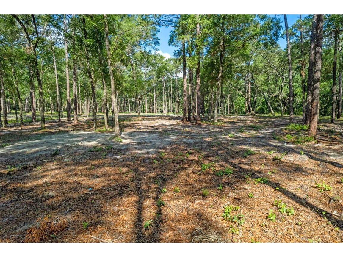 29901 State Road 44 Eustis FL 32736 O6296455 image5