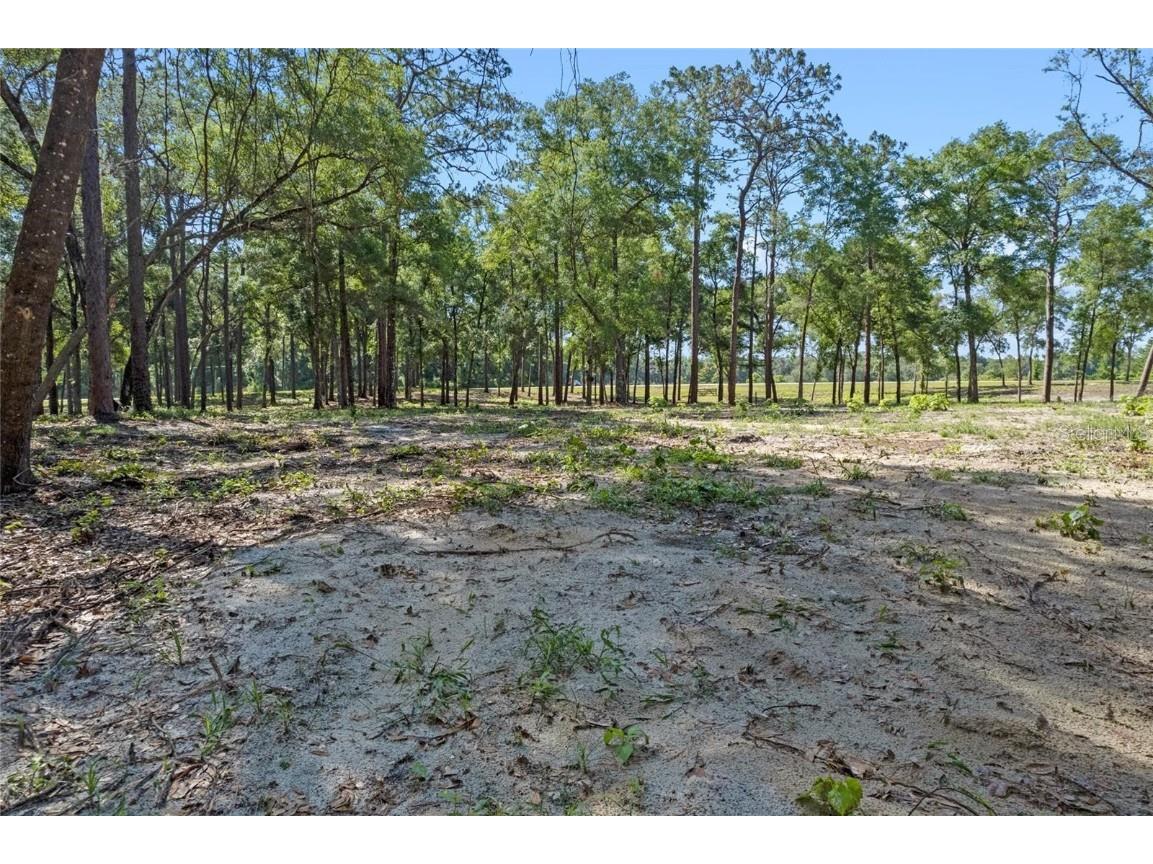 29901 State Road 44 Eustis FL 32736 O6296455 image6