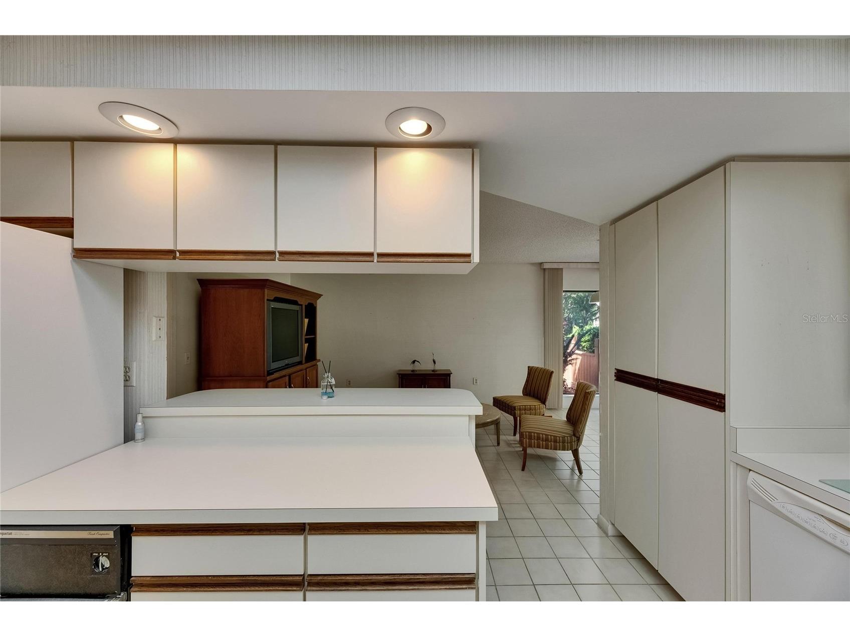 29903 Baywood Lane Wesley Chapel FL 33543 TB8488077 image28
