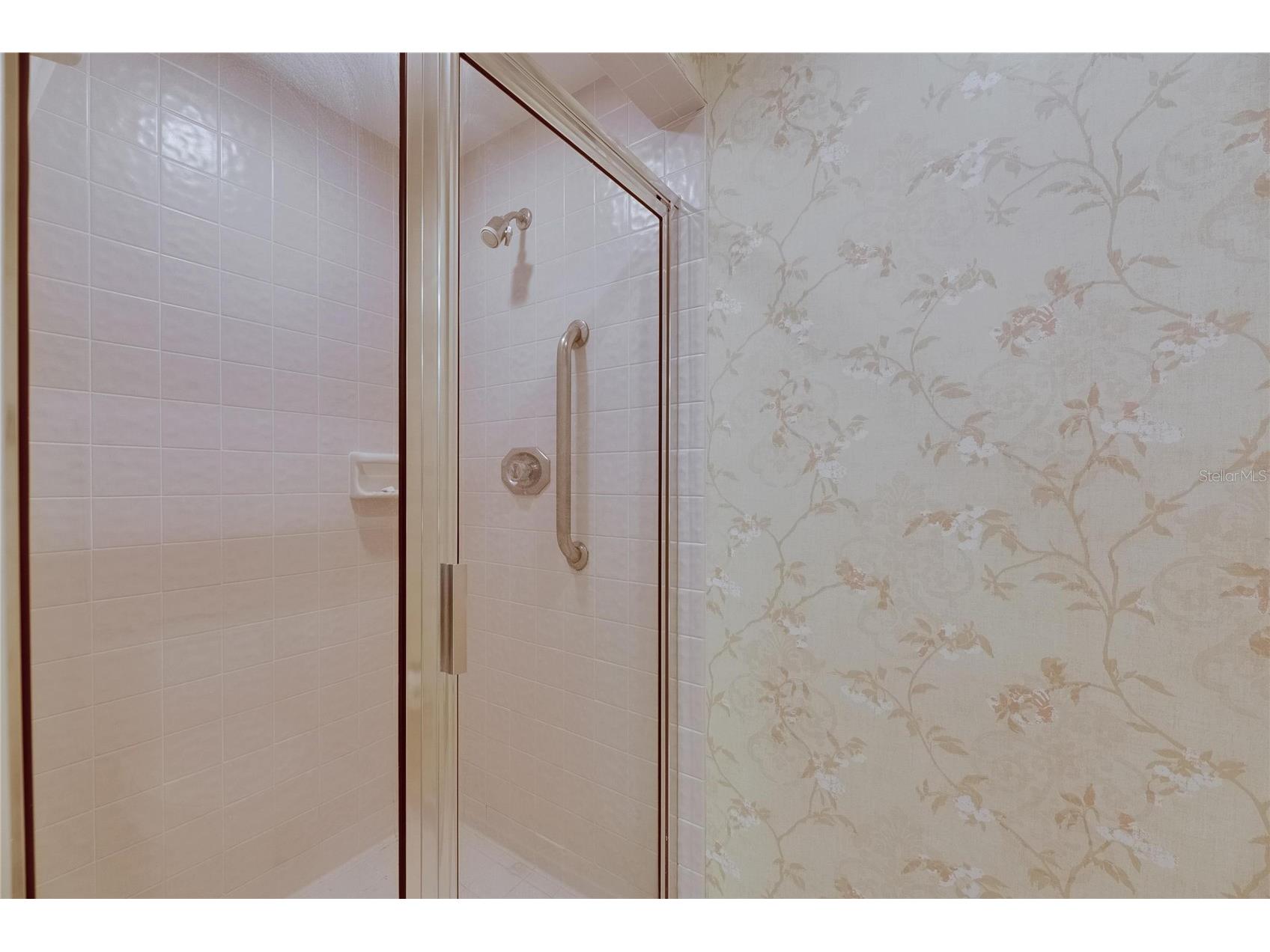 29903 Baywood Lane Wesley Chapel FL 33543 TB8488077 image37