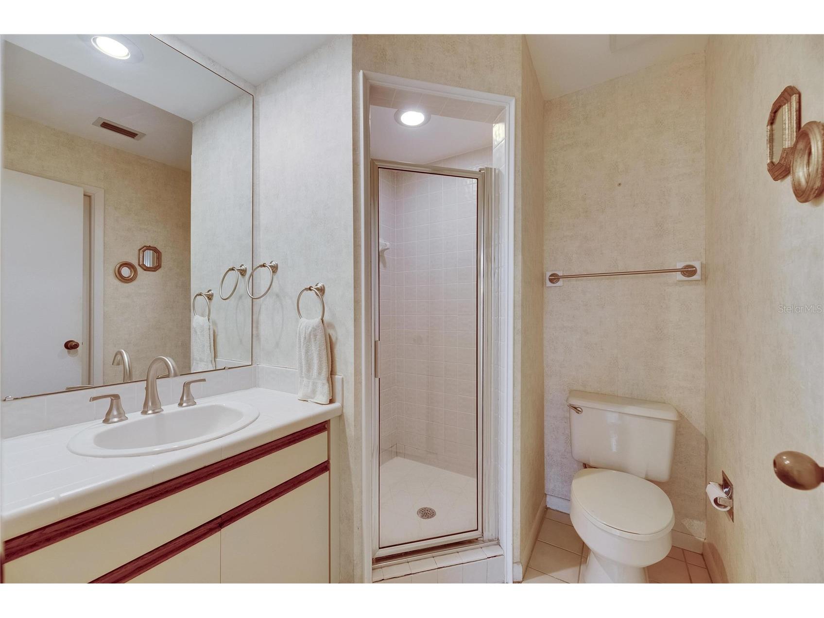 29903 Baywood Lane Wesley Chapel FL 33543 TB8488077 image40