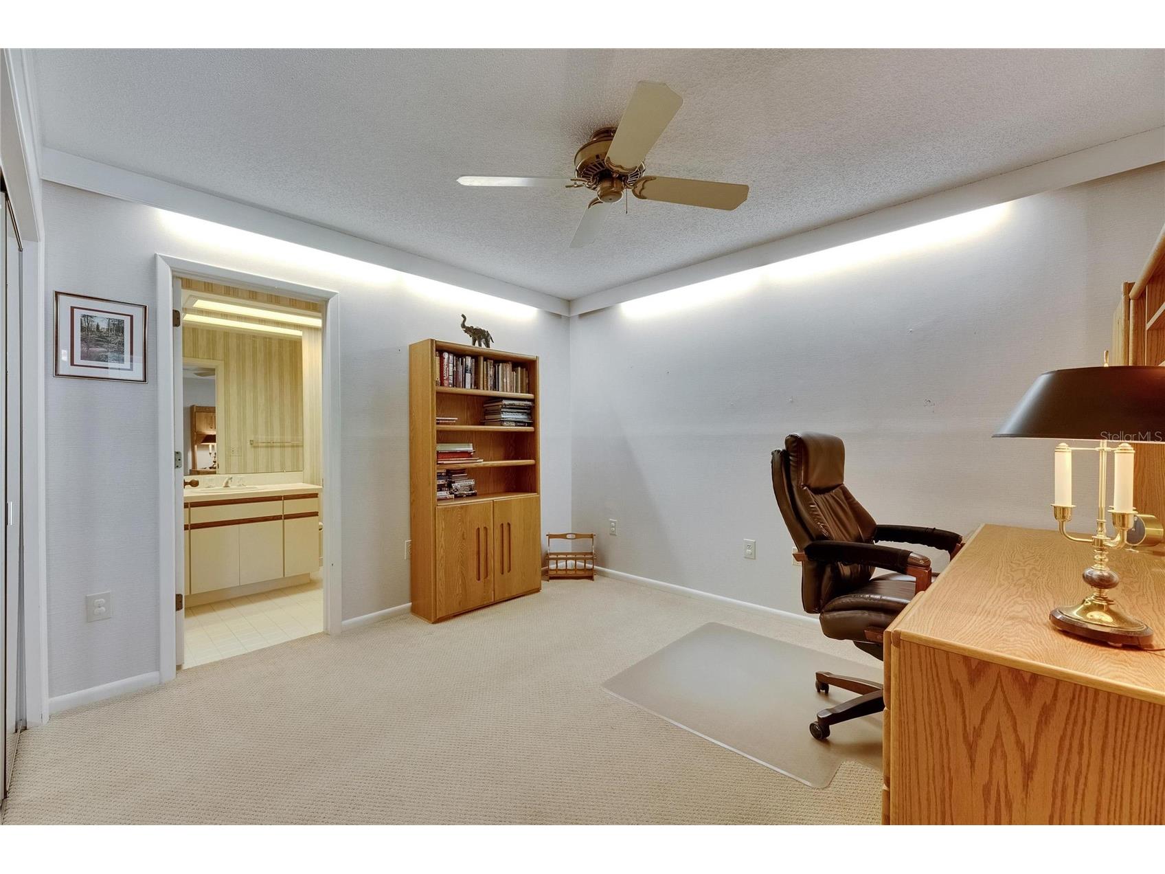 29903 Baywood Lane Wesley Chapel FL 33543 TB8488077 image41