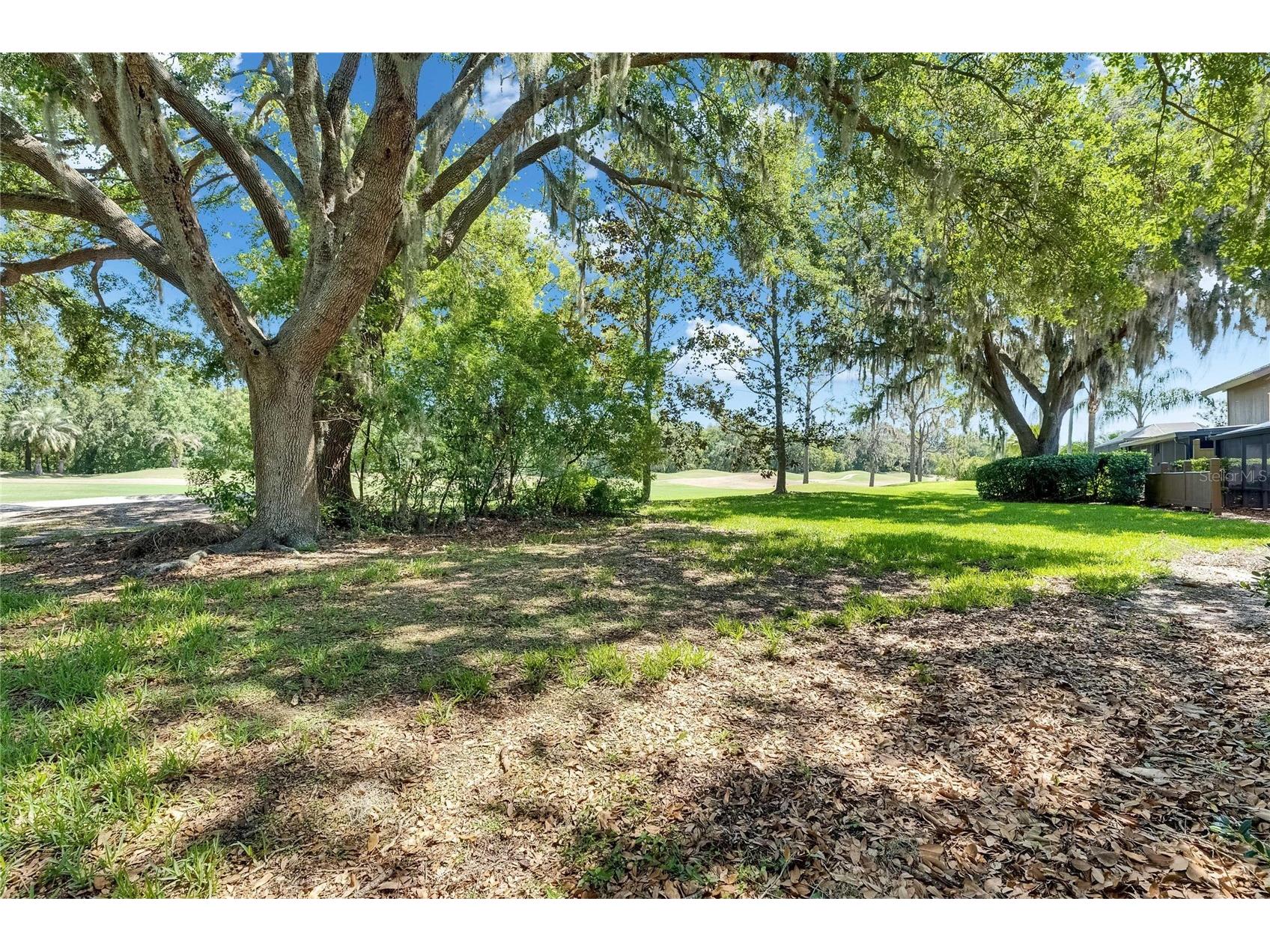 29903 Baywood Lane Wesley Chapel FL 33543 TB8488077 image54