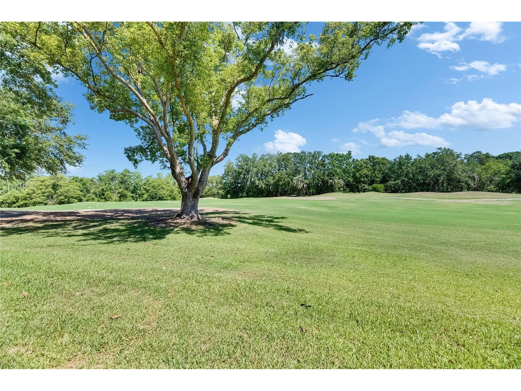 29903 Baywood Lane Wesley Chapel FL 33543 TB8488077 image57