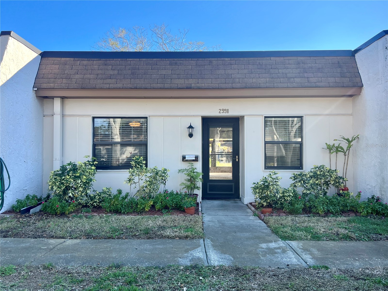 2991 Flint Drive S #77-D Clearwater FL 33759 TB8333776 image1