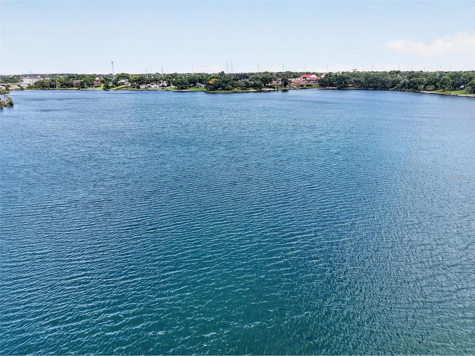 2991 Lake Woodward Drive Eustis FL 32726 - LAKE WOODWARD G5113994 image40