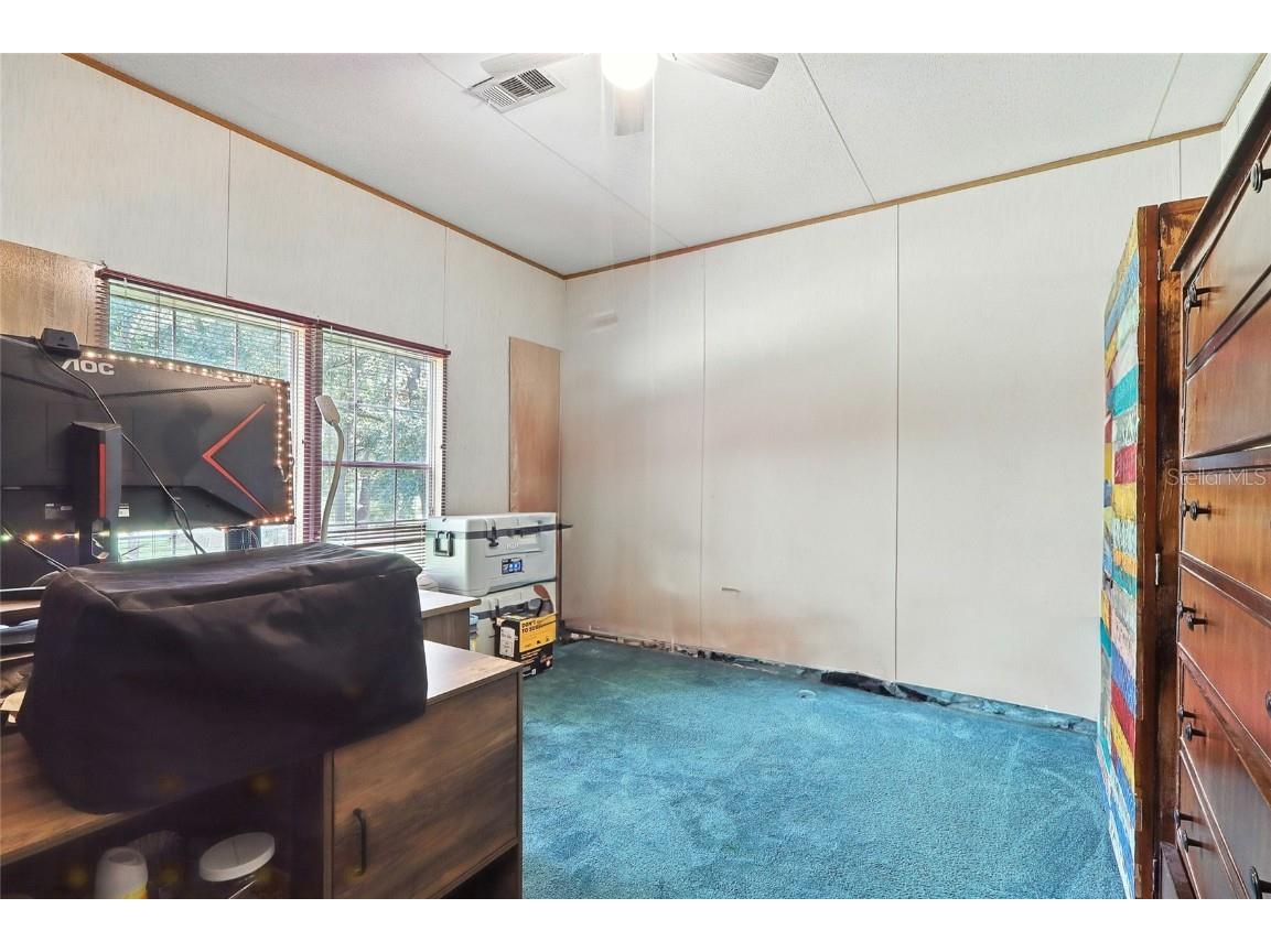 29913 Briarthorn Loop Wesley Chapel FL 33545 TB8414096 image19